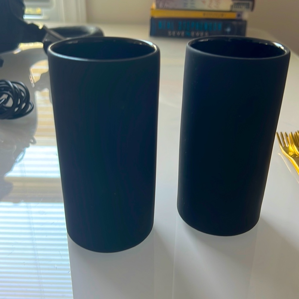 Small vases black CB2. Can hold small flowers. New with tags. 2 vases